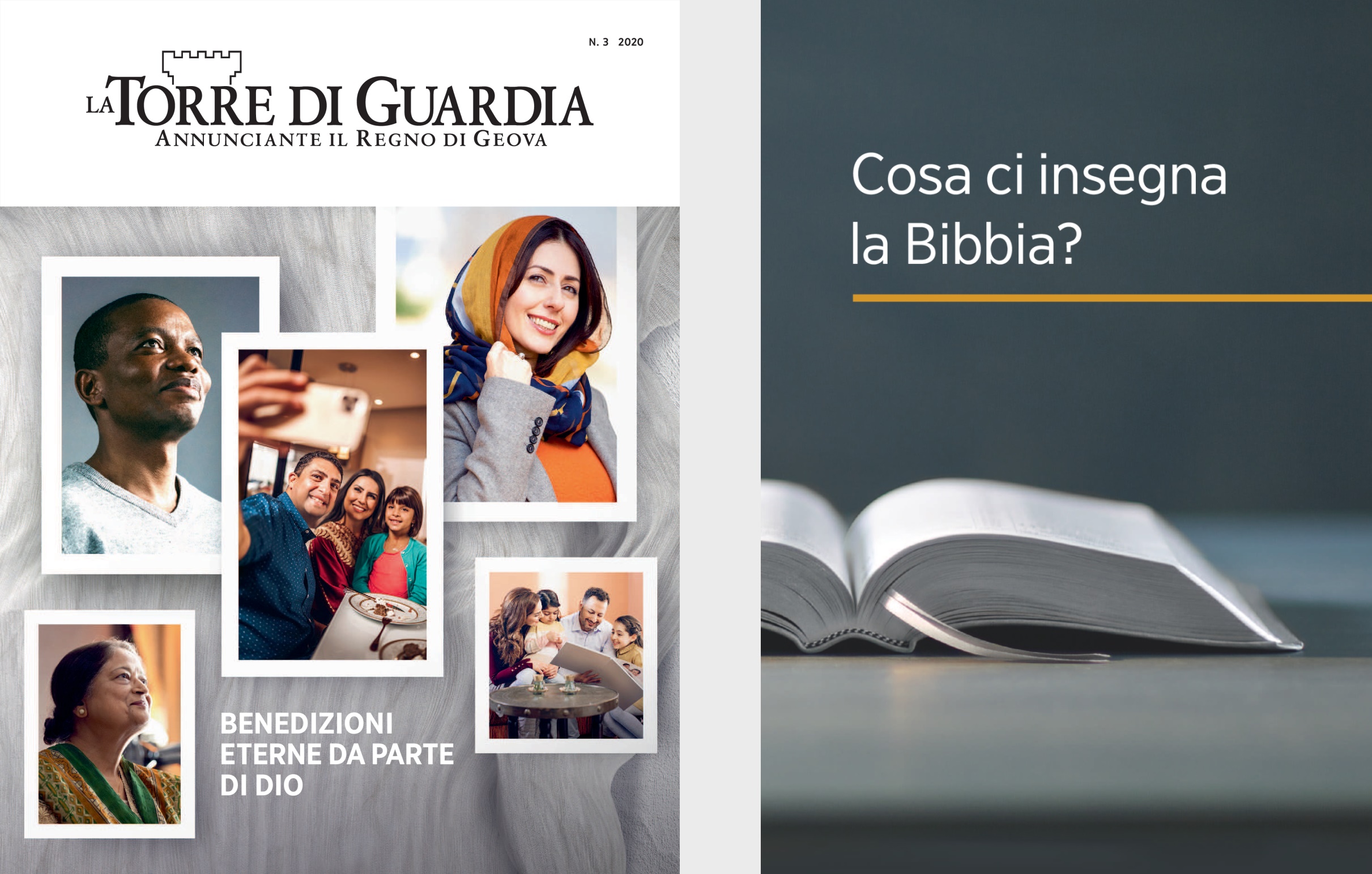 Il libro “Cosa ci insegna la Bibbia?” e “La Torre di Guardia” n. 3 2020.