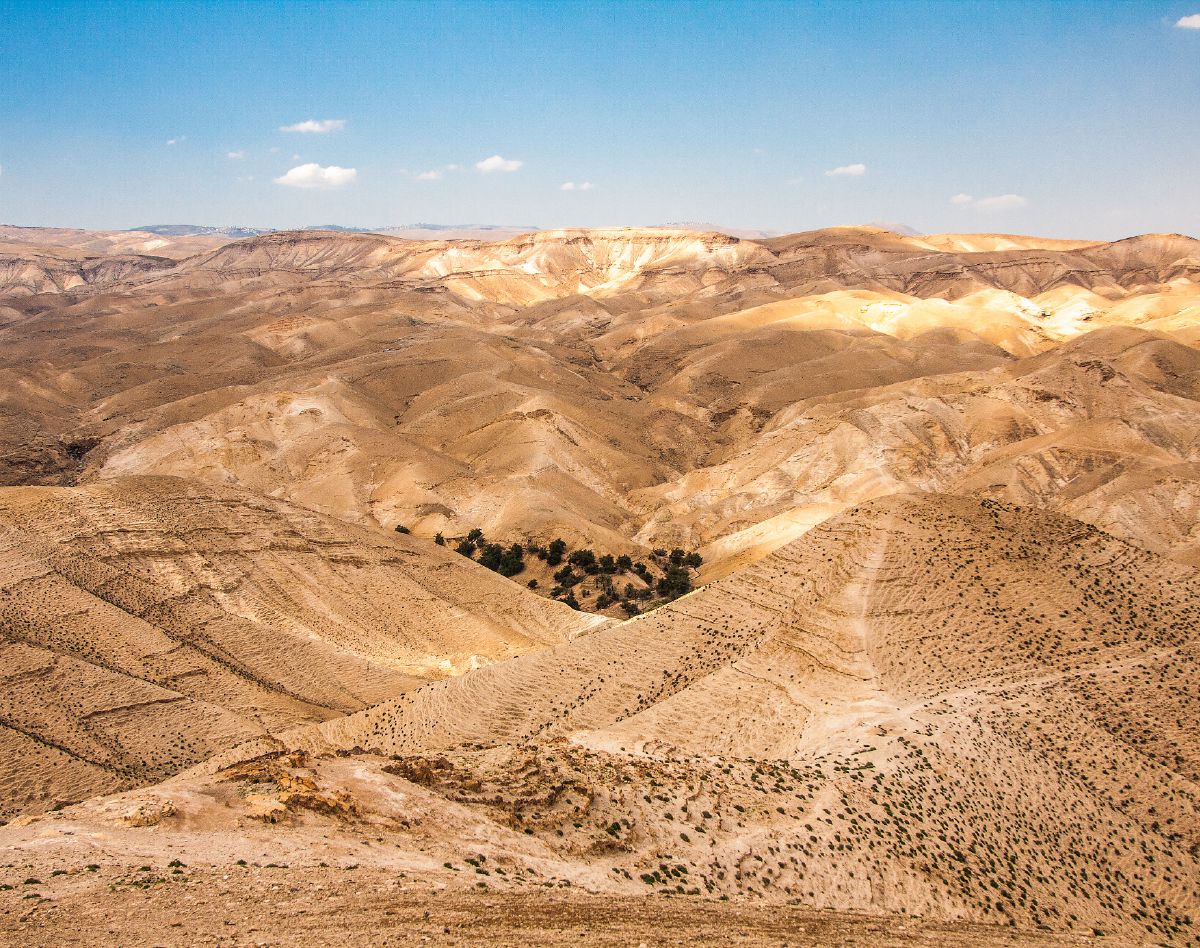Deserto della Giudea, a ovest del Giordano
