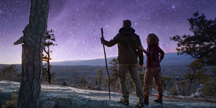 Una coppia passeggia in una notte stellata