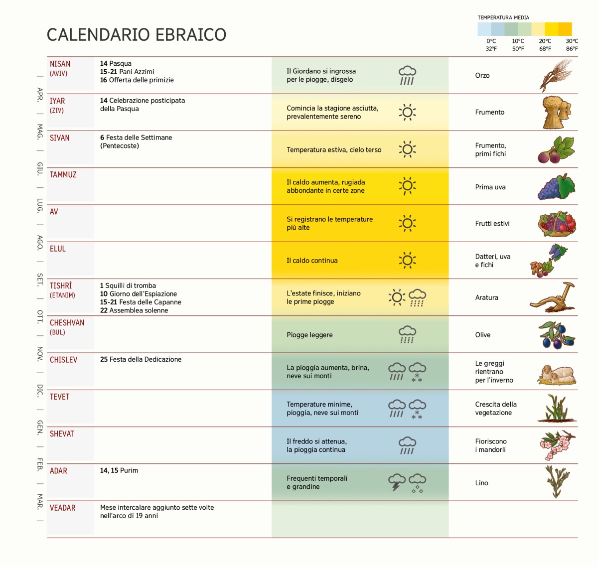 Uno schema del calendario ebraico che include mesi, feste e ricorrenze, informazioni meteorologiche e raccolti.