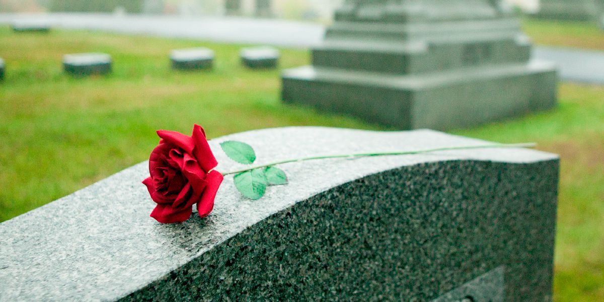 Una rosa rossa su una tomba