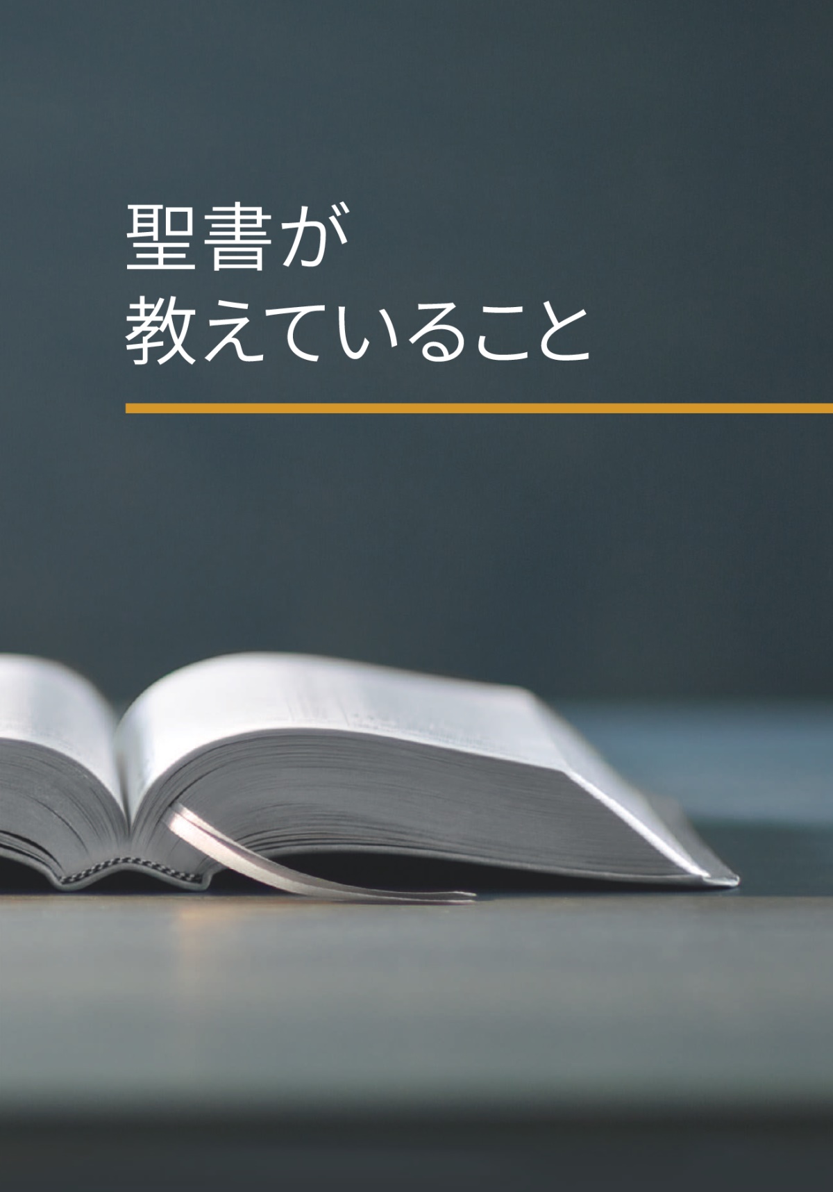 「聖書が教えていること」の本の表紙