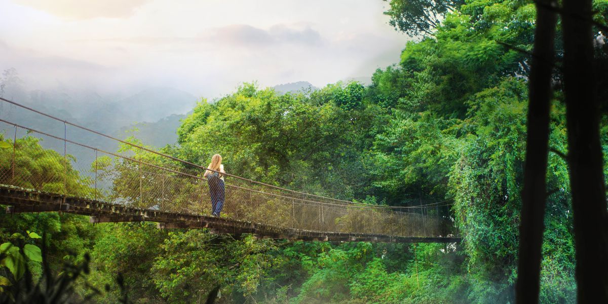 Mbak-mbak mlaku ing hutan hujan lan ngliwati jembatan.