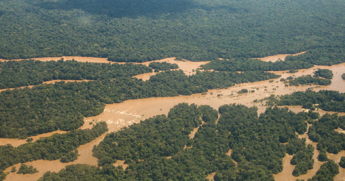 Pemandangan Sungai Maroni lan hutan hujan Amazon saka ndhuwur.