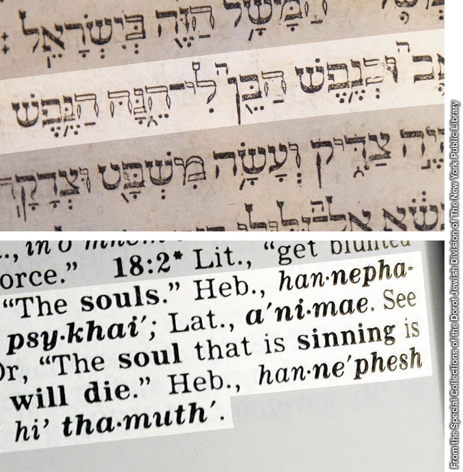 Yéheskièl 18:4 ing terjemahan Alkitab basa Ibrani karyané Hutter, lan katrangan ing ngisor saka Akitab terjemahan New World Translation of the Holy Scriptures—With References