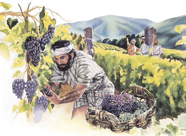 სურათი 76 გვერდზე