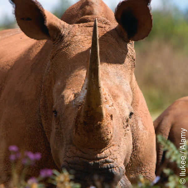 [სურათი 3 გვერდზე]
[საავტორო უფლება]
Top: Photo by John Kepsimelis, U.S Coast Guard