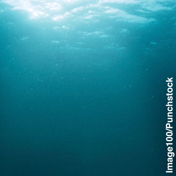 წყნარი ოკეანე