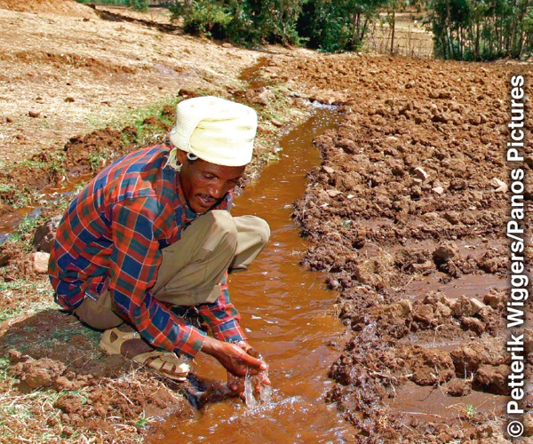 აფრიკელი ფერმერი