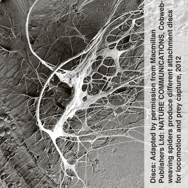 მიწაზე გაბმული ქსელი