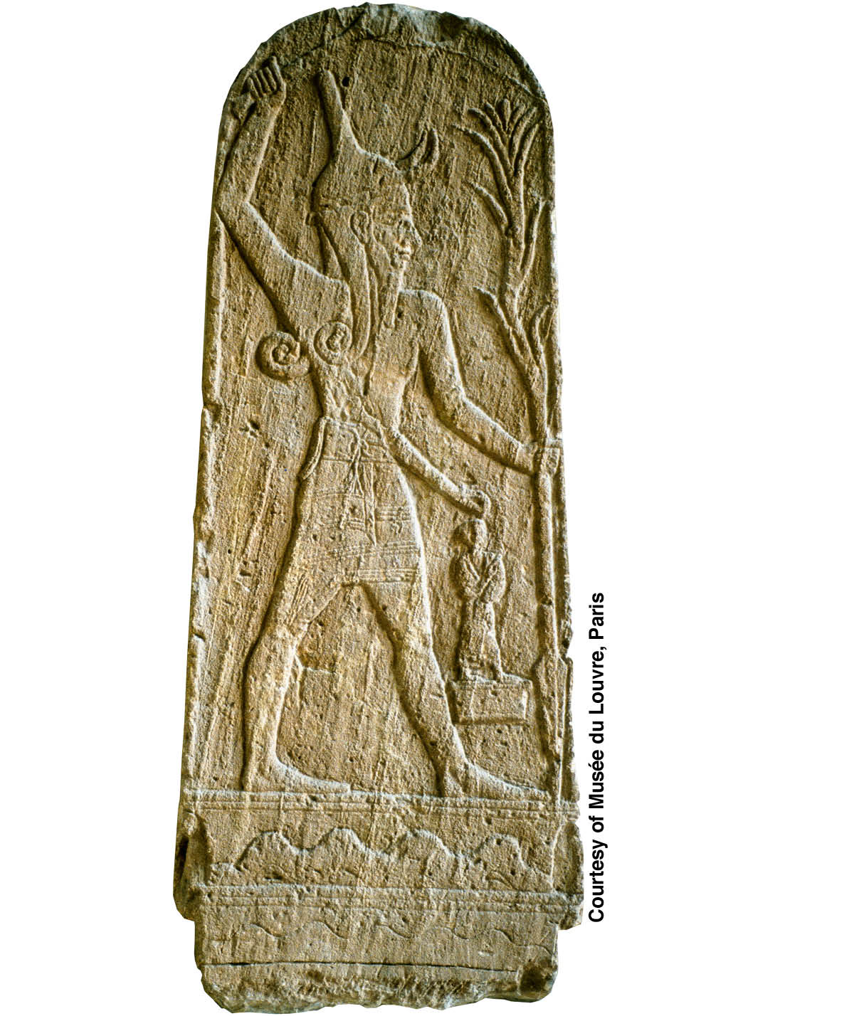 [სურათი]