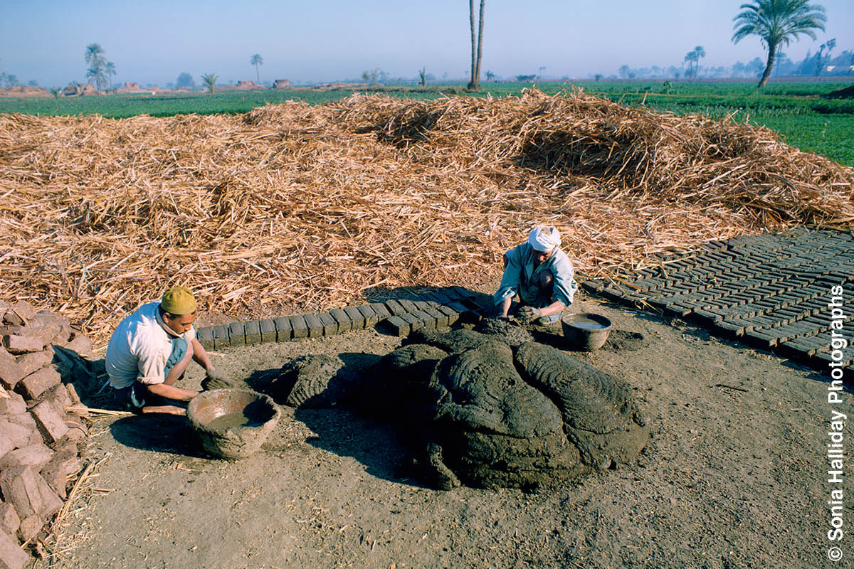 [სურათი]