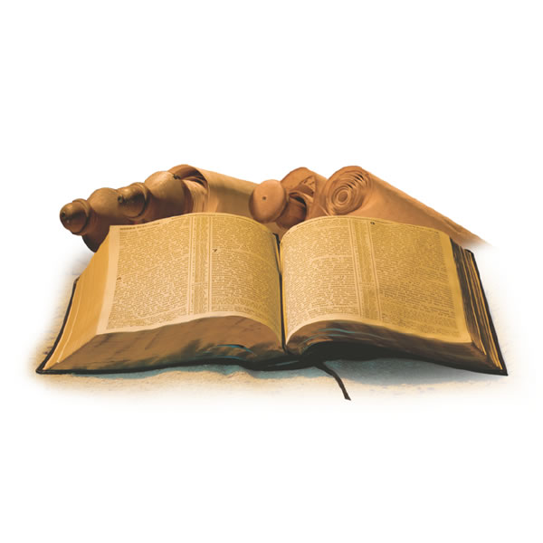 სურათი 12 გვერდზე