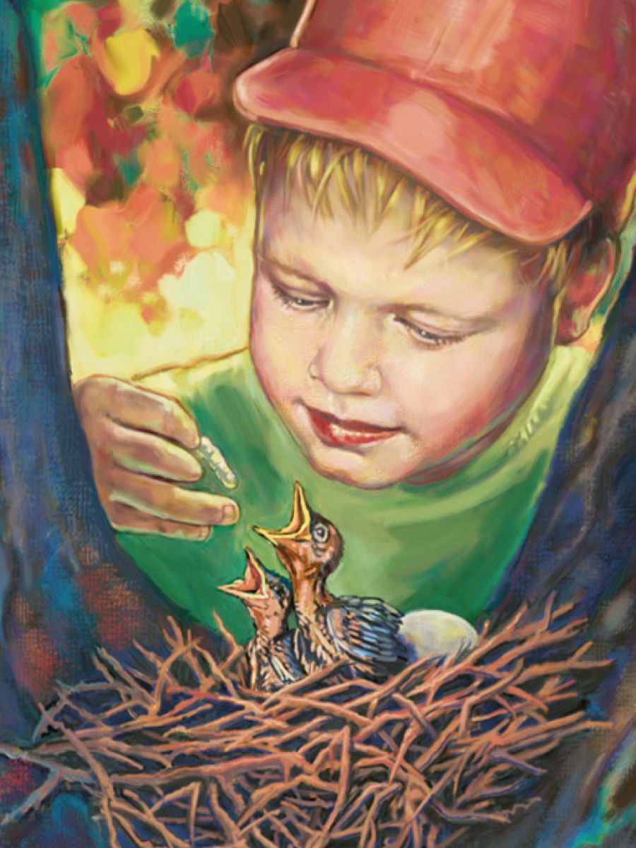 პატარა ბიჭი აჭმევს ბარტყებს