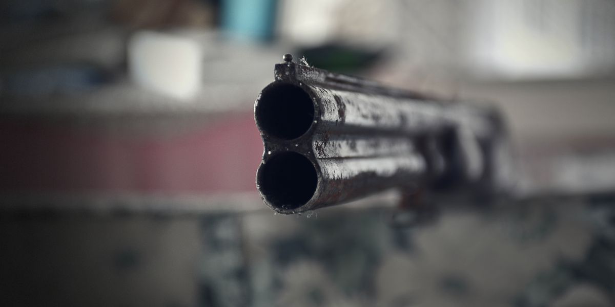 ორლულიანი იარაღი ობიექტივისკენაა მიშვერილი.