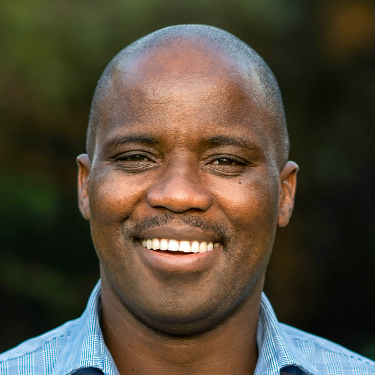 კოვკელო