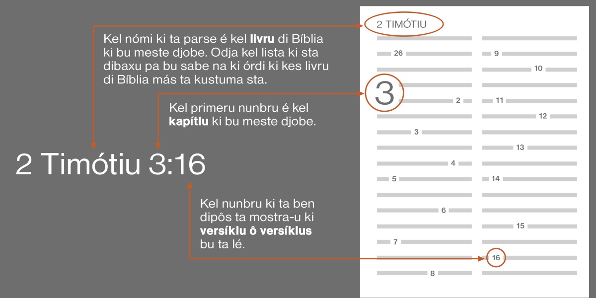 Livrus, kapítlus i versíklus di Bíblia