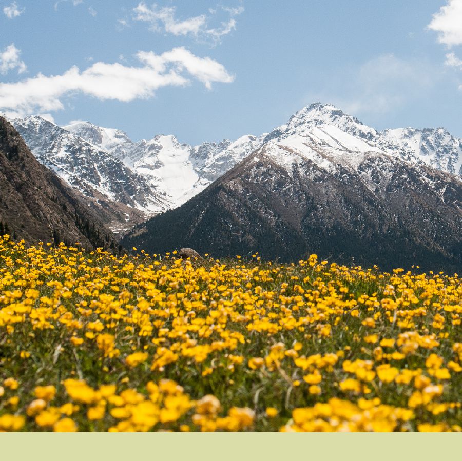 Montanhas di Teskey Ala-Too