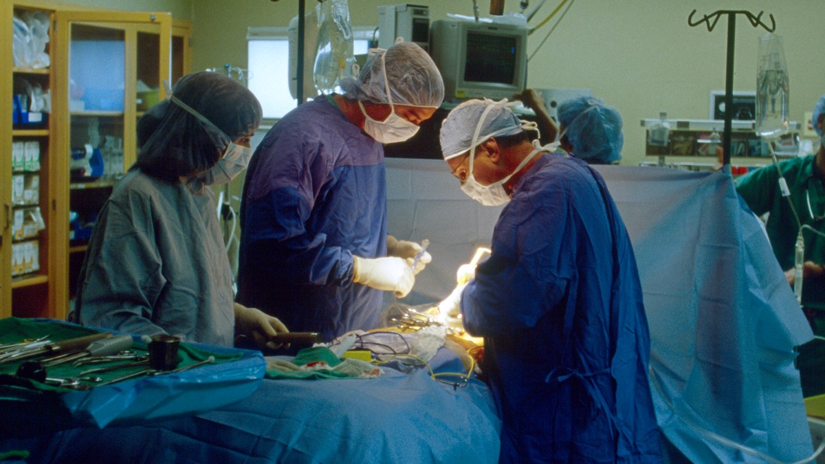 Li kikʼ kʼulanbʼil saʼ jun li kʼanjelobʼaal. Li kikʼ kʼubʼanbʼil rikʼin kaahibʼ chi xchaʼal. Chixkʼatq wank xkʼabʼaʼ li junjunq A, B, C, ut D.