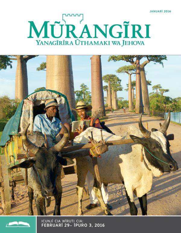 Ngothi ya Mũrangĩri wa Wĩruti, Janũarĩ, 2016