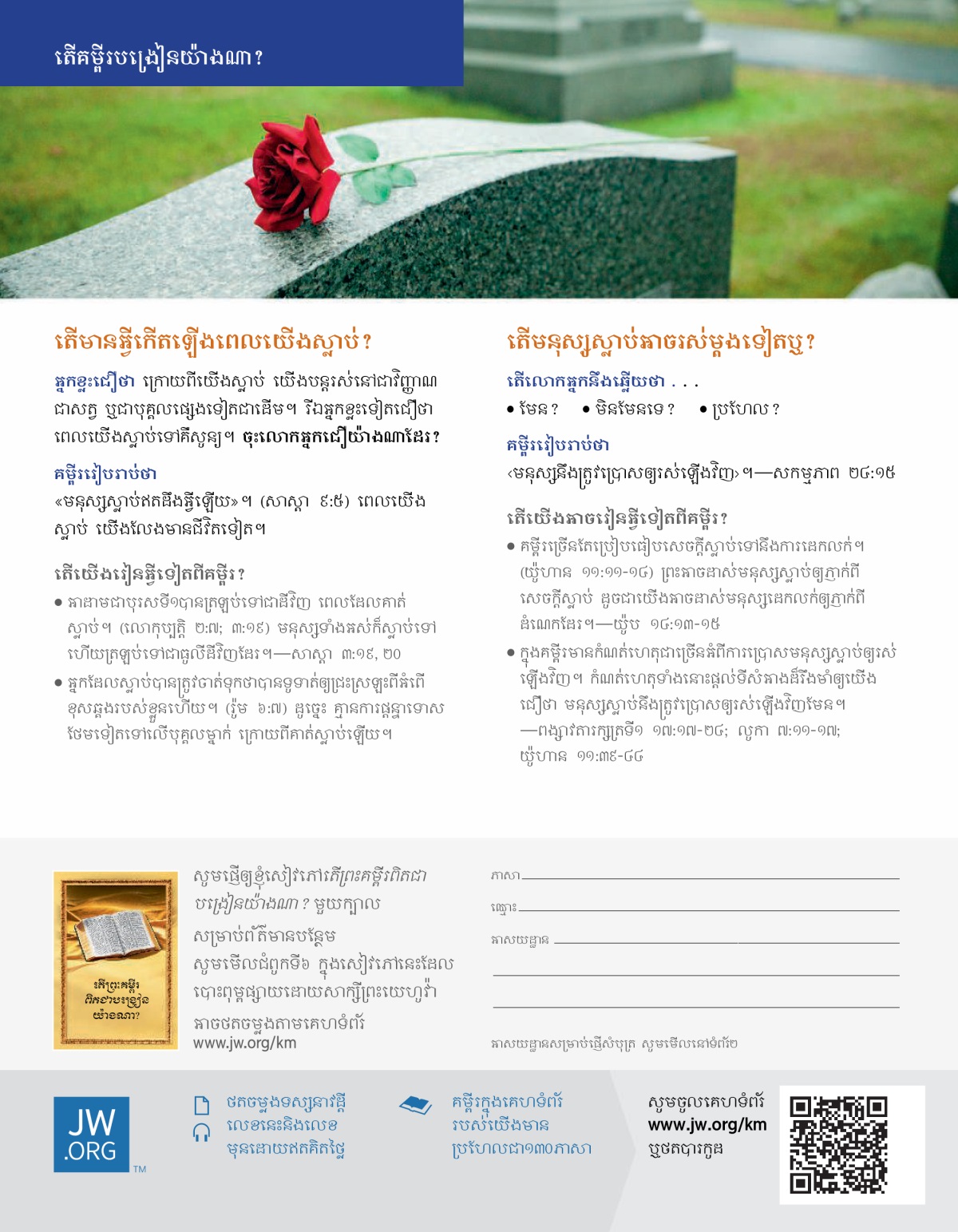 ផ្កាកុលាបមួយទងនៅលើផ្នូរ