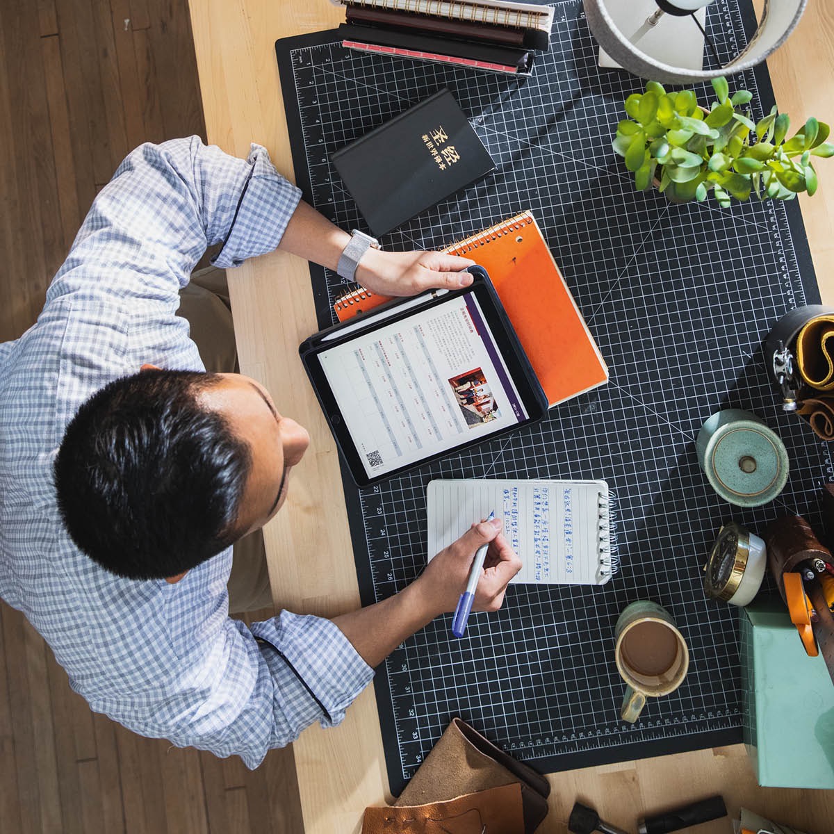 Phange wa mu tokwesa o Bibidya ni madivulu metu