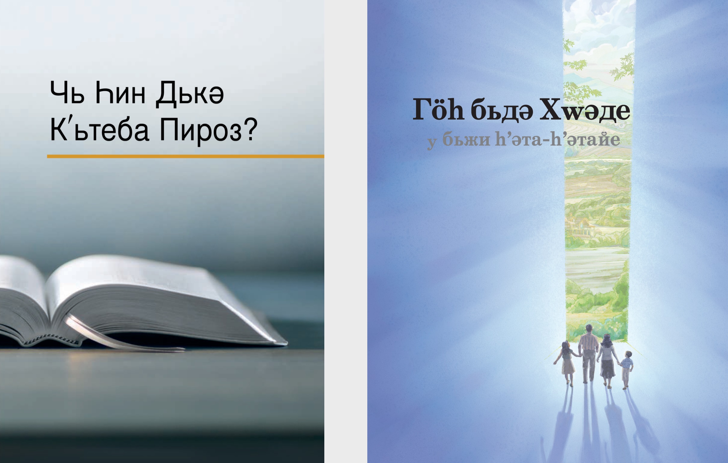 Кʹьтеба «Чь Һин Дькә Кʹьтеба Пироз?» у брошура «Гӧһ Бьдә Хԝәде у Бьжи Һʹәта-Һʹәтайе».