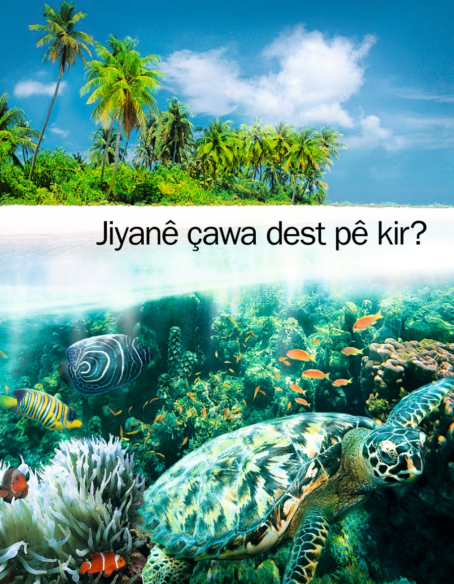 Jiyanê Çawa Dest pê Kir?