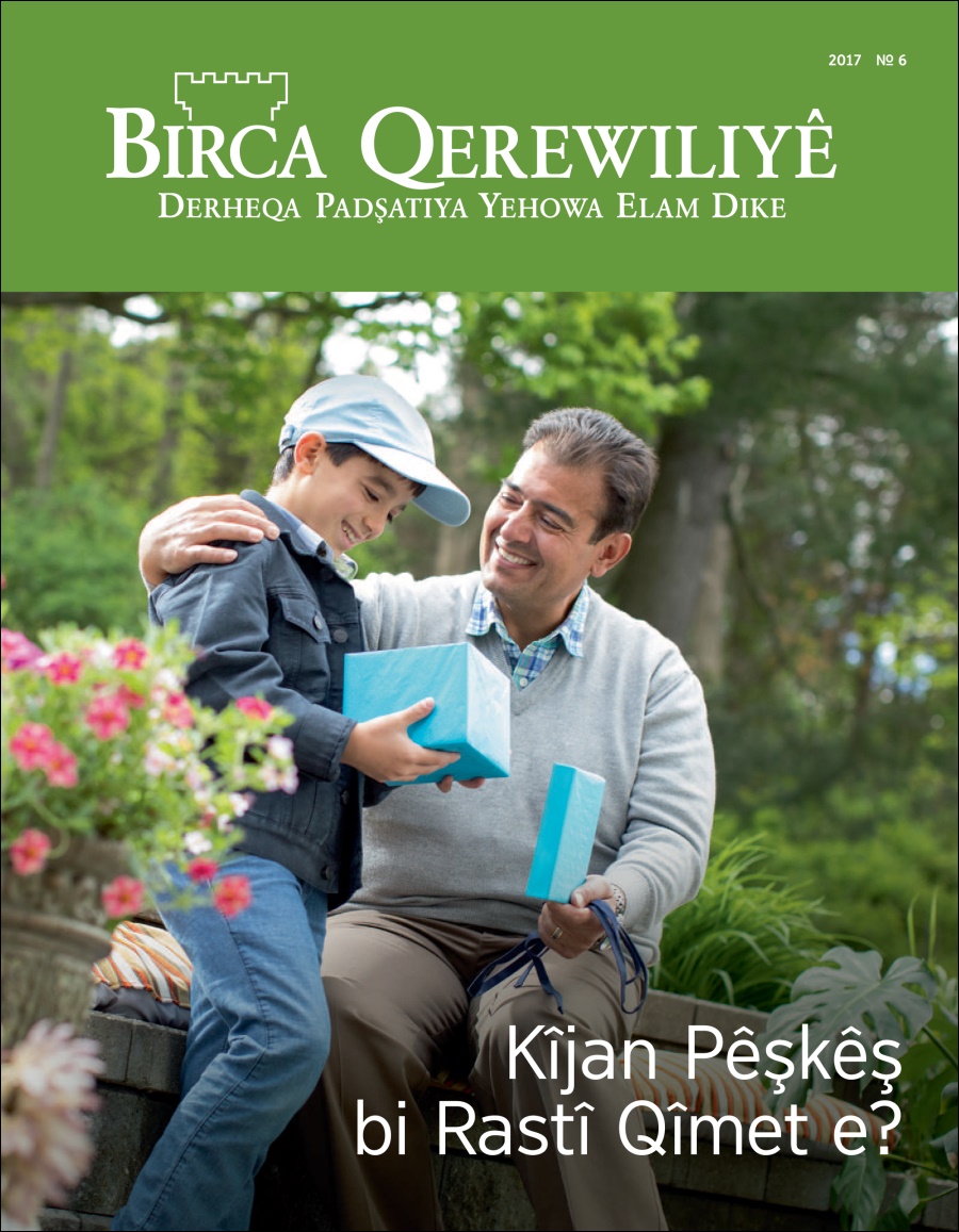 Birca Qerewiliyê № 6 2017 | Kîjan Pêşkêş bi Rastî Qîmet e?