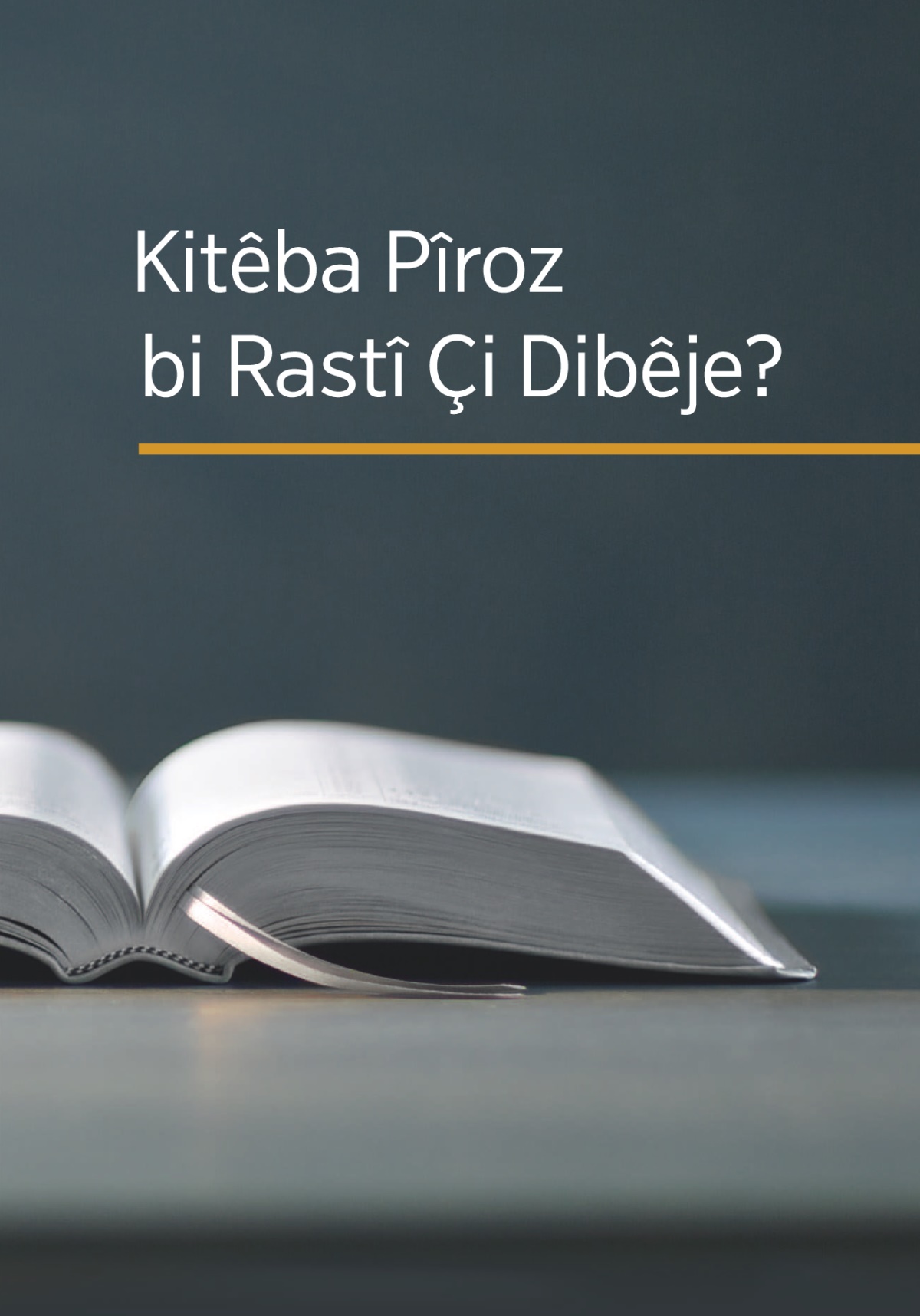 Rûyê kitêba “Kitêba Pîroz Bi Rastî Çi Dibêje?”
