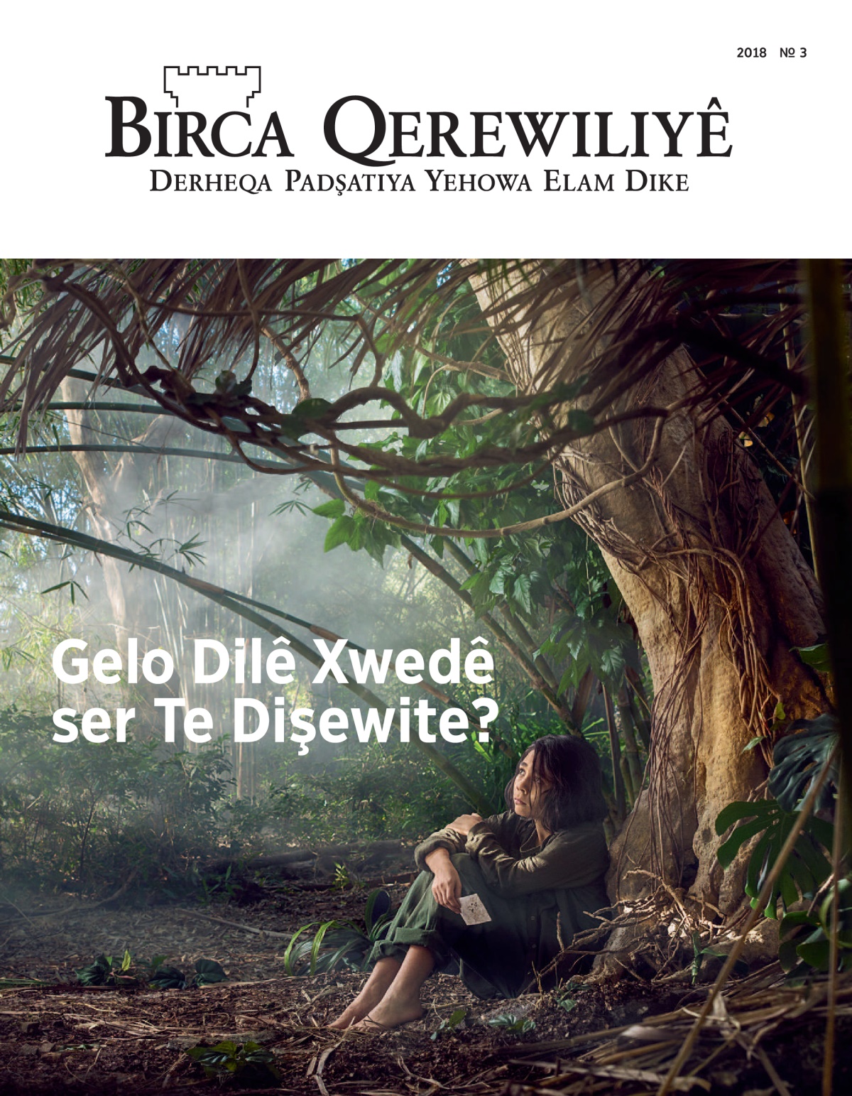‘Birca Qerewiliyê’ №3 2018.