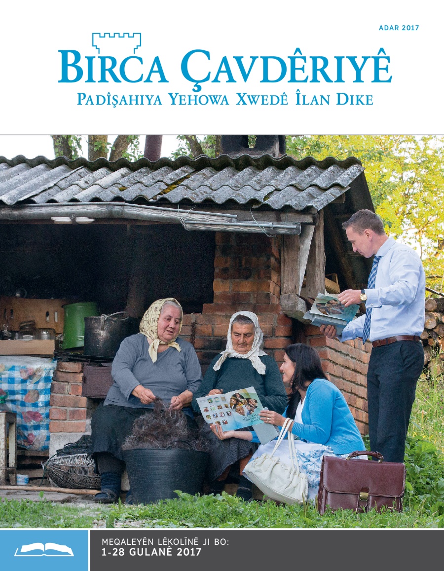 Birca Çavdêriyê çapa lêkolînê, Adar 2017