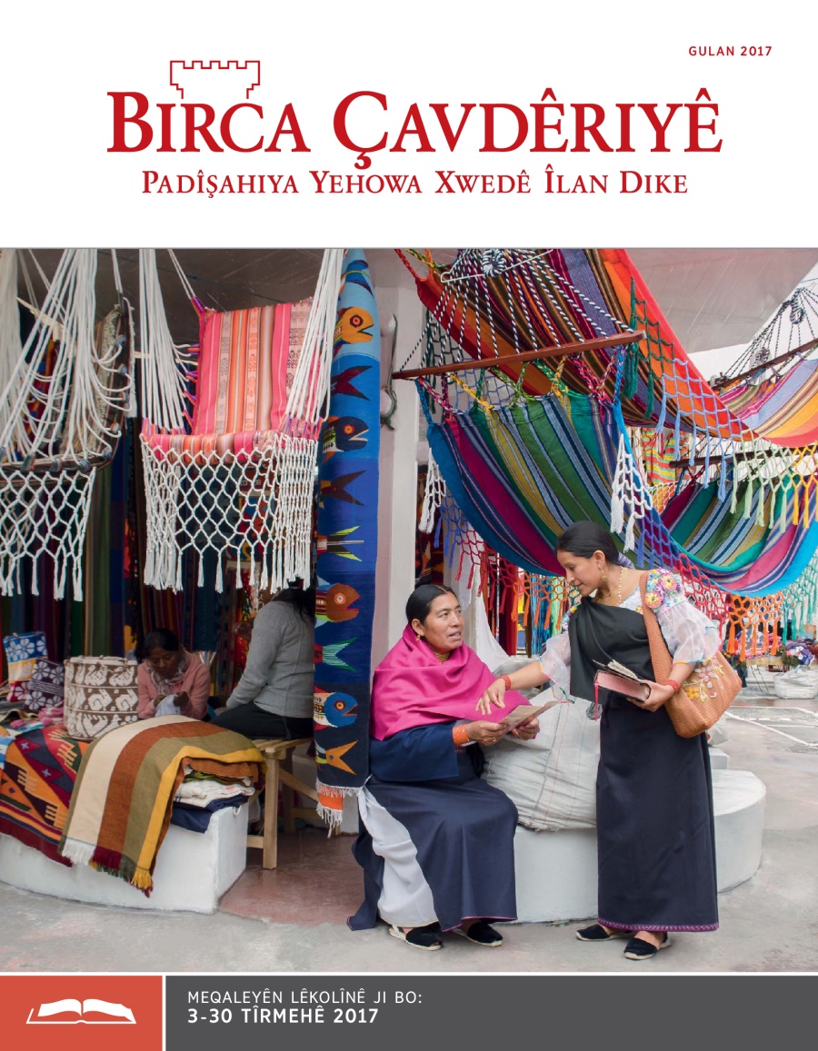 Birca Çavdêriyê çapa lêkolînê Gulan 2017