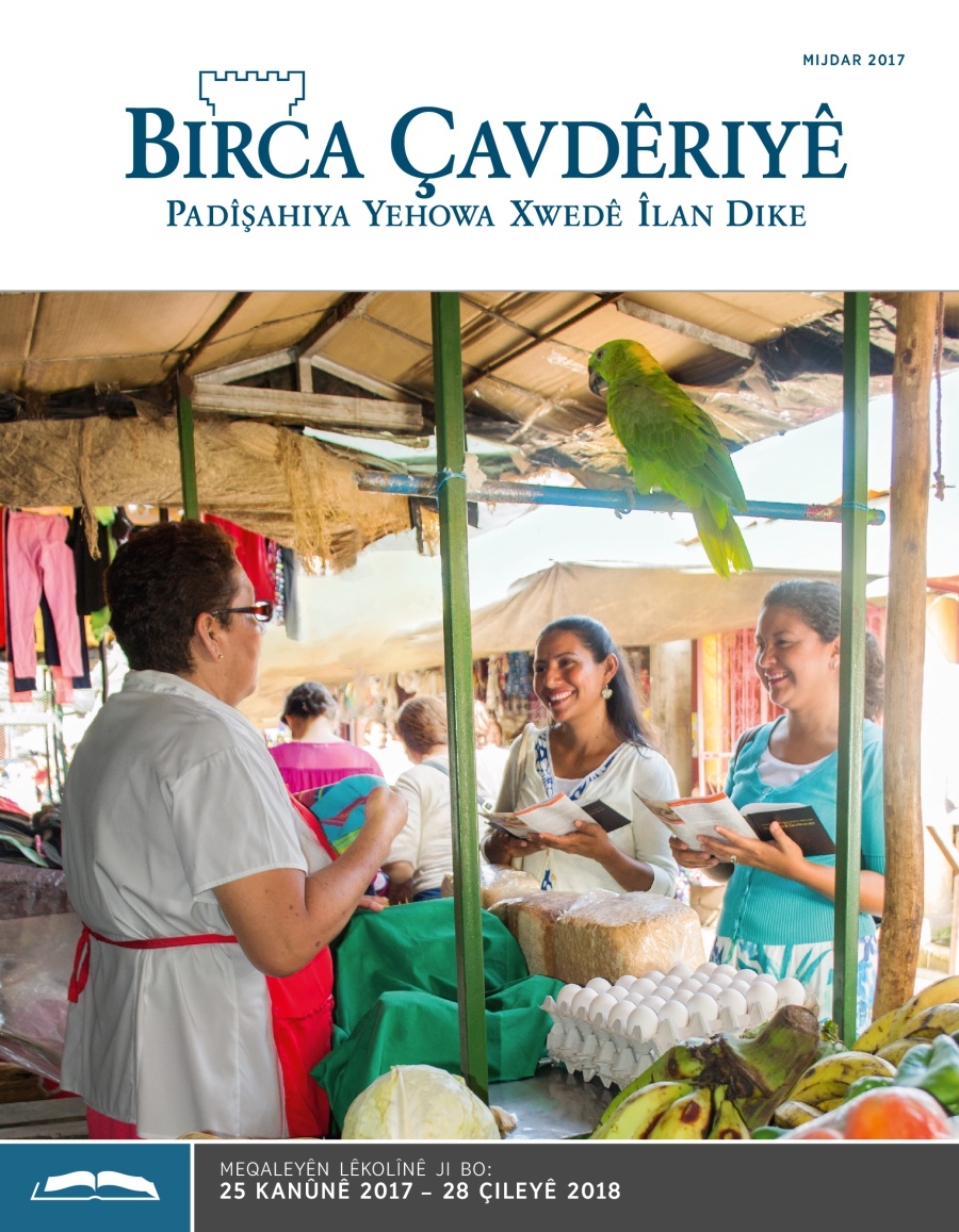 Birca Çavdêriyê çapa lêkolînê Mijdar 2017