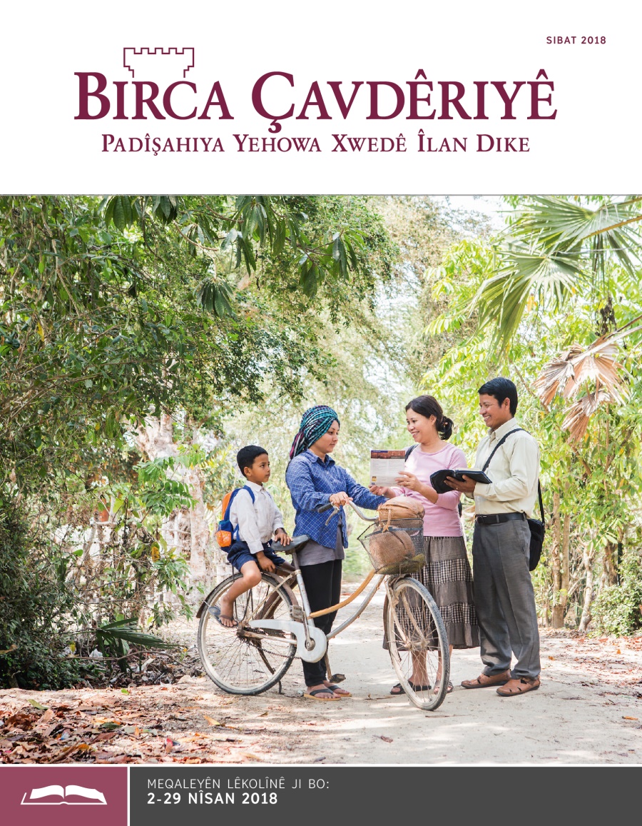 Birca Çavdêriyê – Çapa Lêkolînê, Sibat 2018