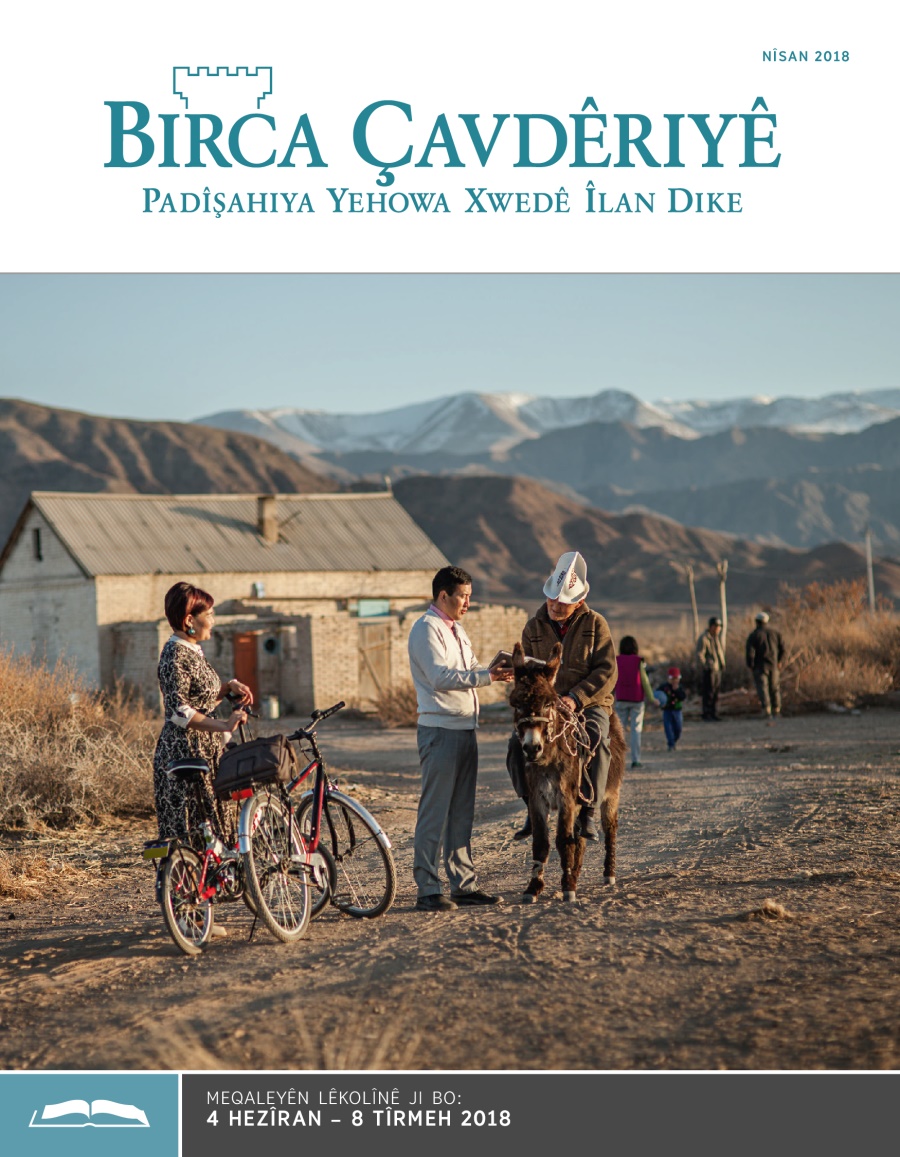 Birca Çavdêriyê Çapa Lêkolînê, Nîsan 2018