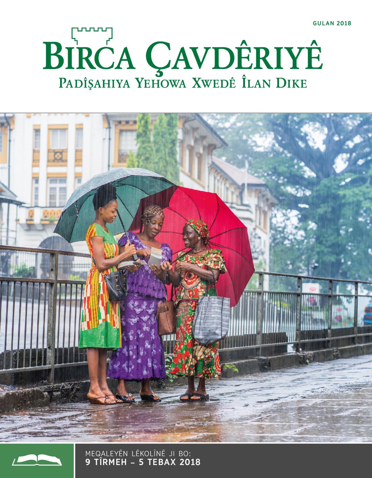 Birca Çavdêriyê Çapa Lêkolînê, Gulan 2018