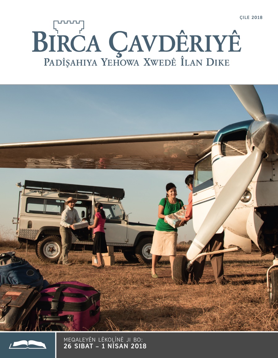 Birca Çavdêriyê – Çapa Lêkolînê, Çile 2018