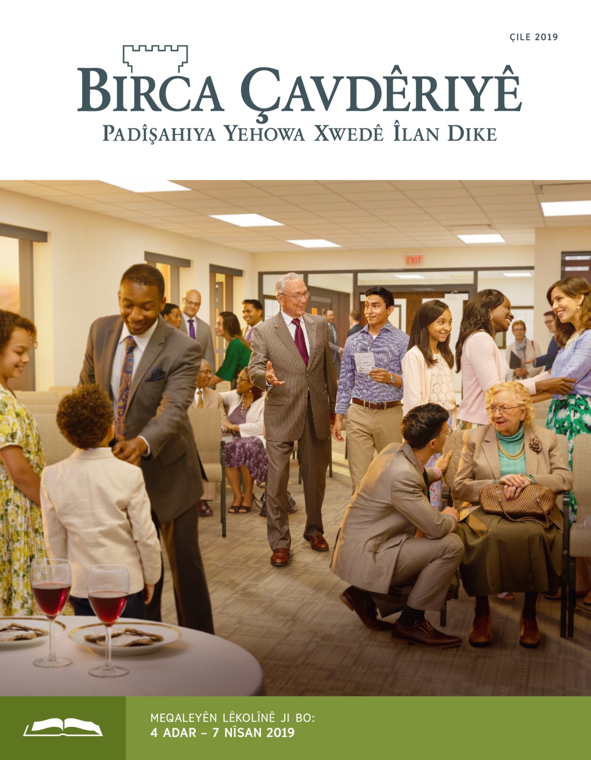 Birca Çavdêriyê Çapa Lêkolînê, Çile 2019