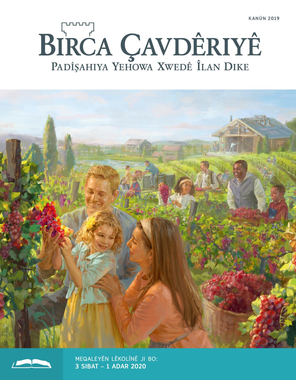 Birca Çavdêriyê – Çapa Lêkolînê, Kanûn 2019