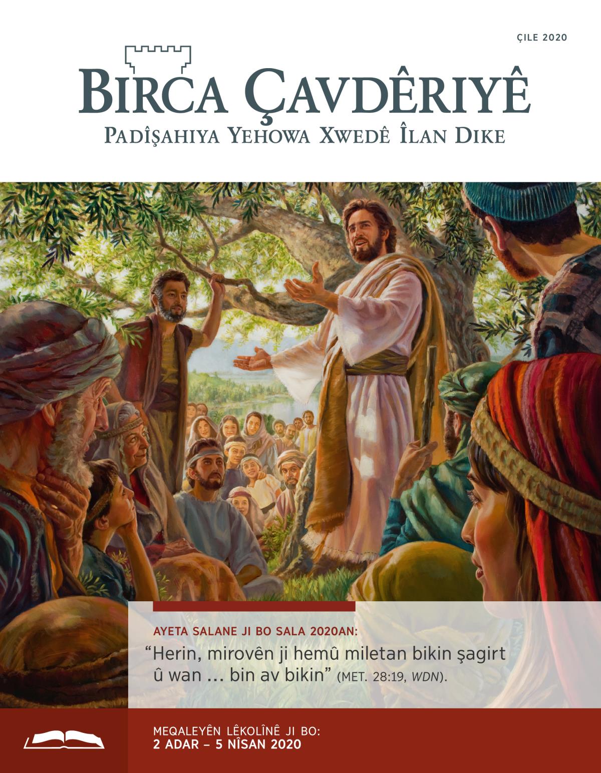 Birca Çavdêriyê – Çapa Lêkolînê, Çile 2020.