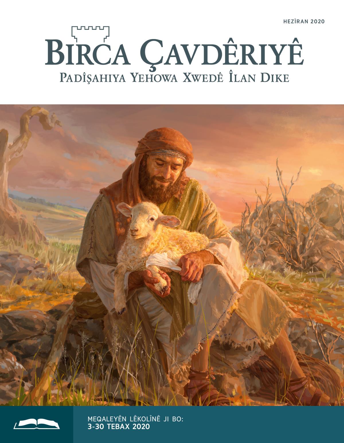 Birca Çavdêriyê – Çapa Lêkolînê, Hezîran 2020.