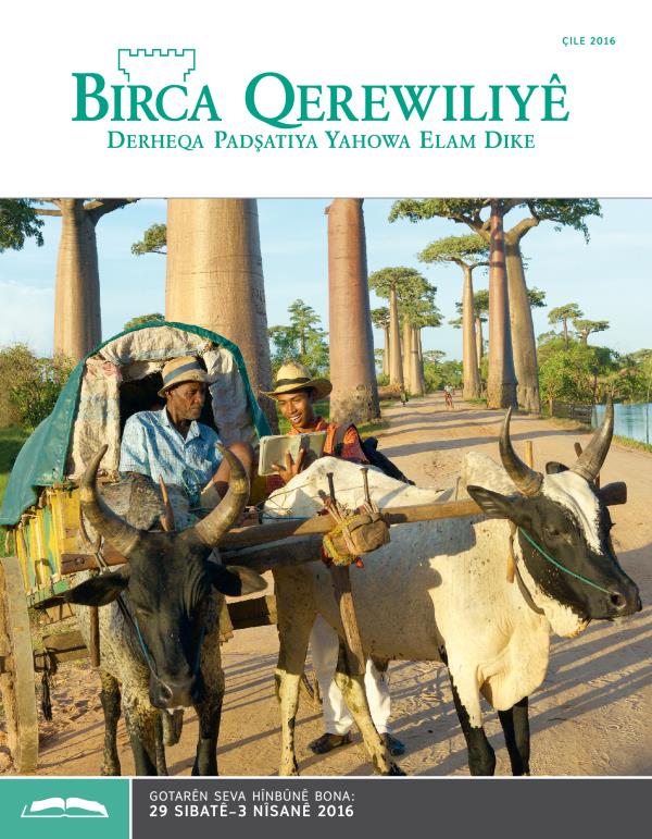 Rûyê jûrnala Birca Qerewiliyê bona Hînbûnê,15 Çile 2016