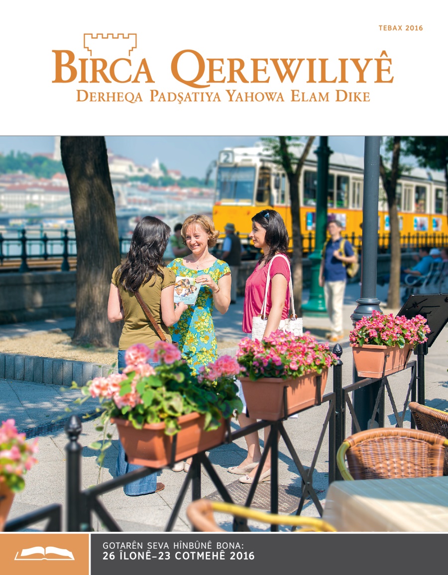 Birca Qerewiliyê bona Hînbûnê, Tebax 2016