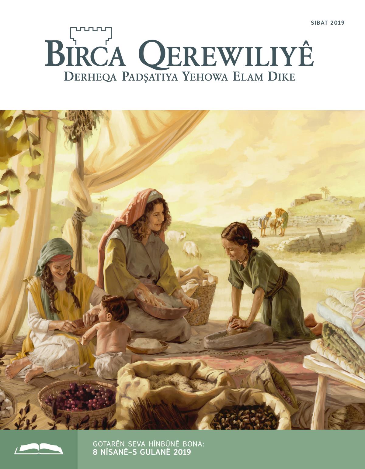 Birca Qerewiliyê bona Hînbûnê, Sibat 2019