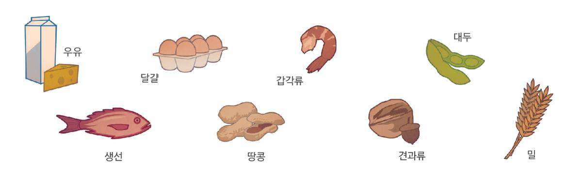 우유, 달걀, 갑각류, 대두, 생선, 땅콩, 견과류, 밀