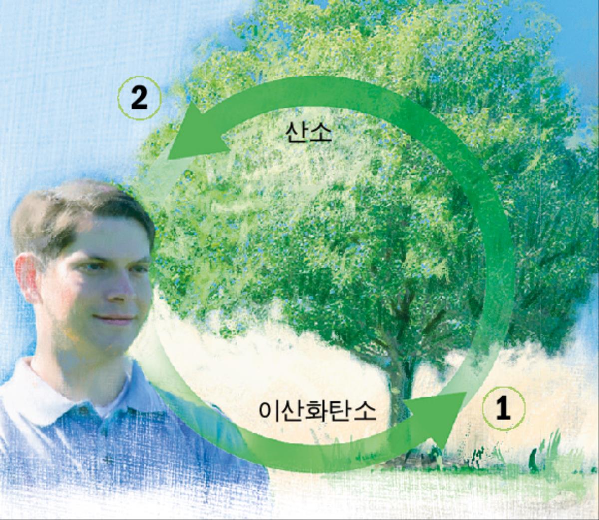 이산화탄소와 산소의 순환