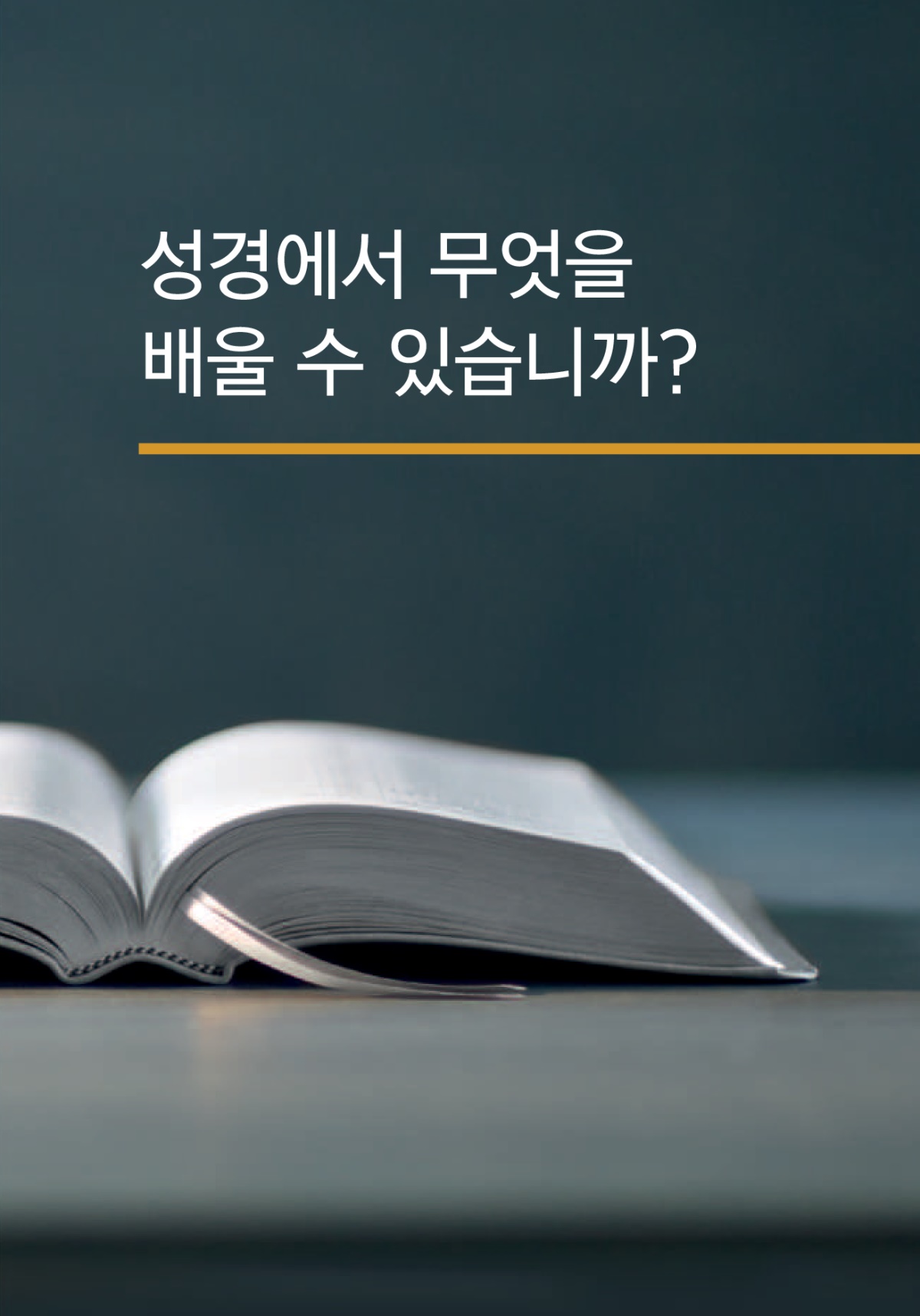 ‘성경에서 무엇을 배울 수 있습니까?’ 책의 표지.