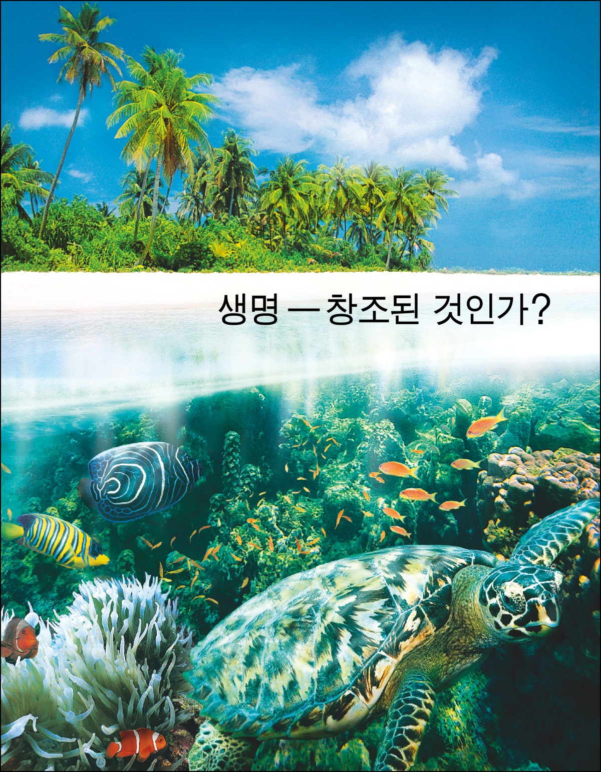 「생명—창조된 것인가?」 팜플렛