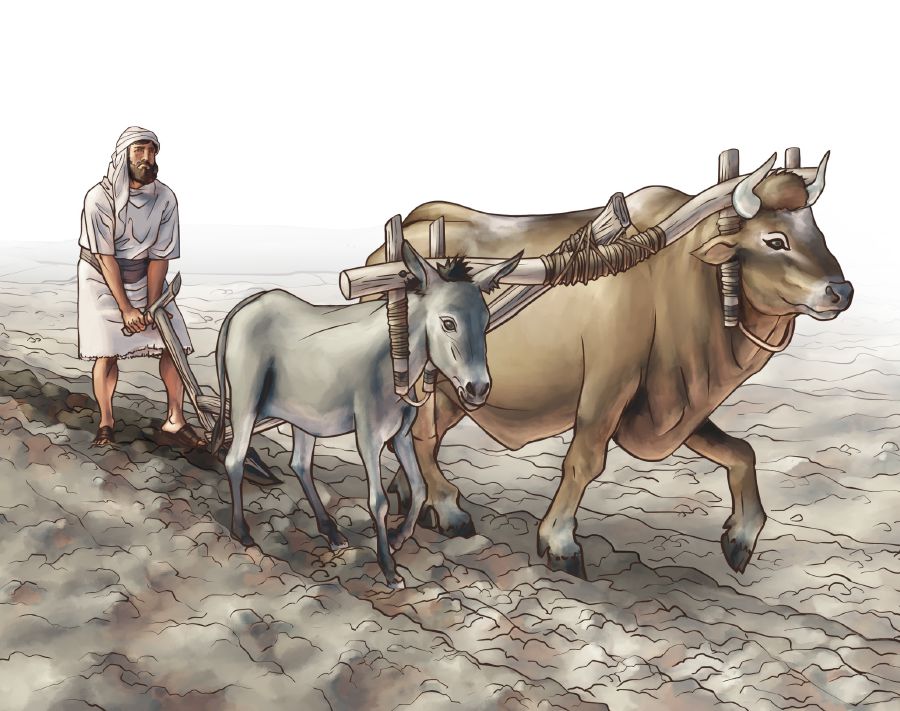 맞지 않는 멍에